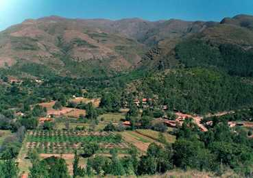 Galería La Pasarela
